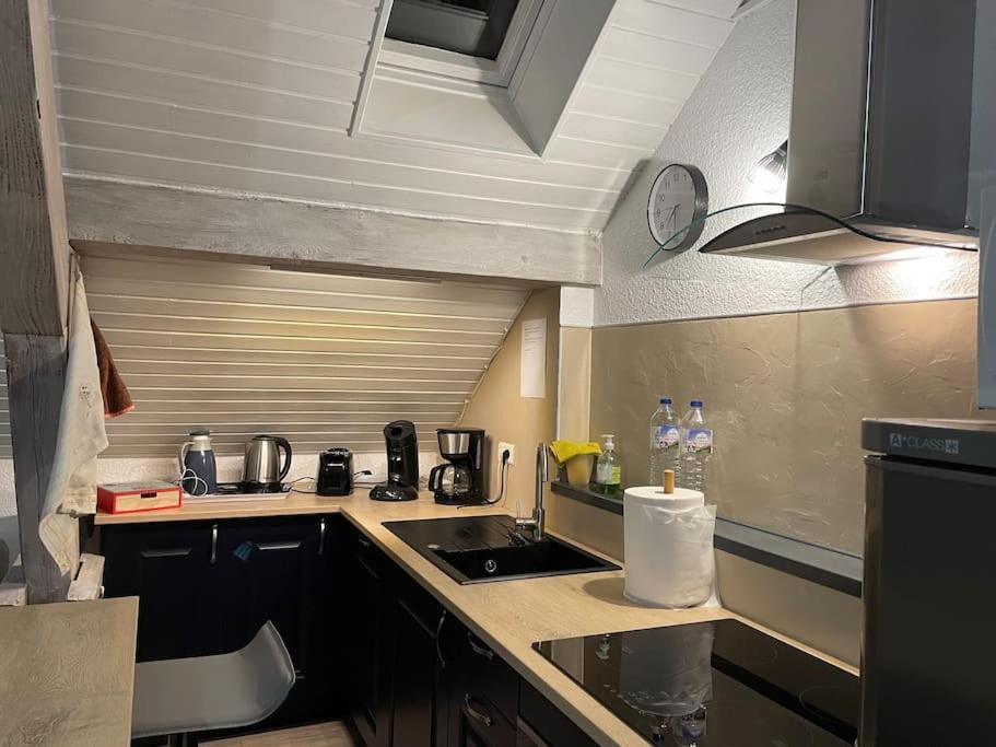 شقة Loft Avec Jardin Corcieux المظهر الخارجي الصورة